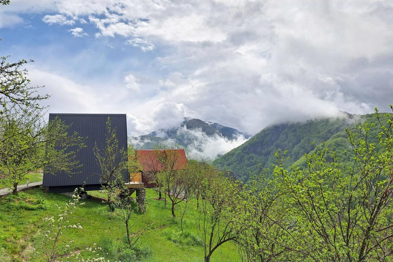 Fern Farm Tiny Home Mojkovac Bagian luar foto