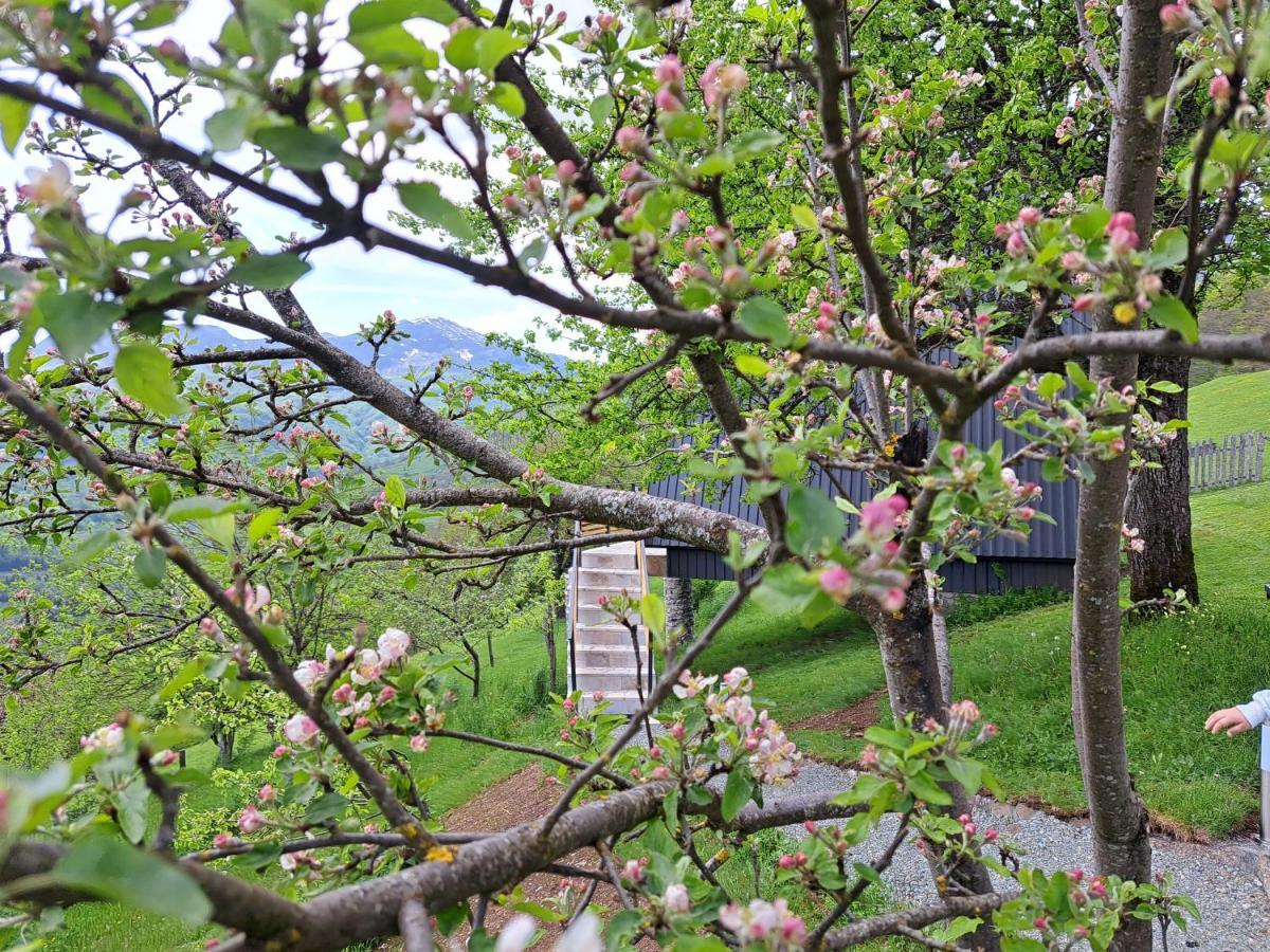 Fern Farm Tiny Home Mojkovac Bagian luar foto