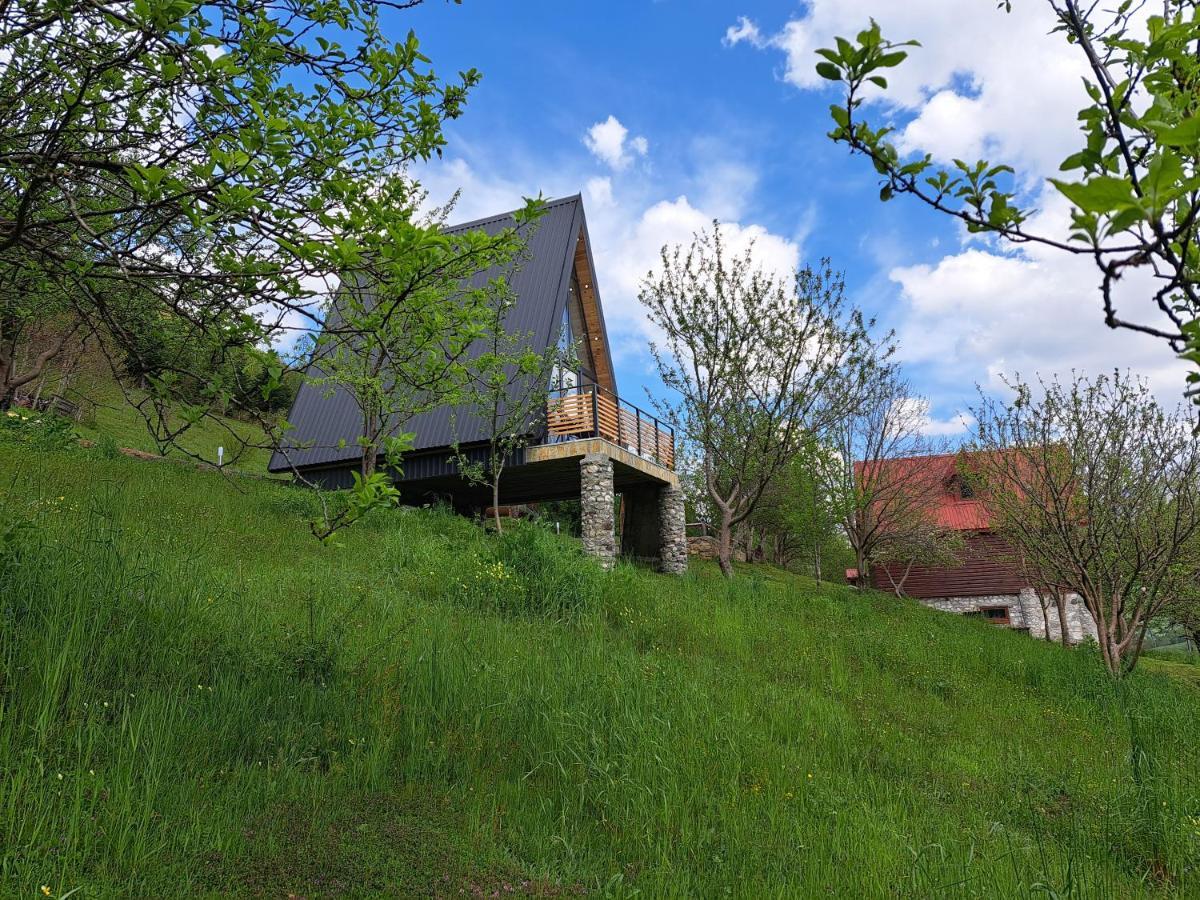 Fern Farm Tiny Home Mojkovac Bagian luar foto