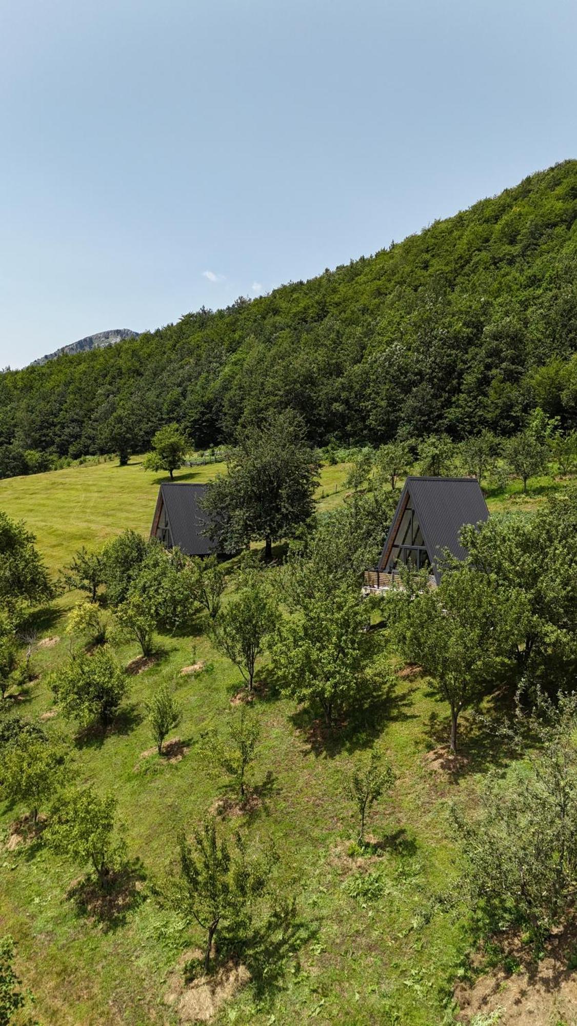 Fern Farm Tiny Home Mojkovac Bagian luar foto