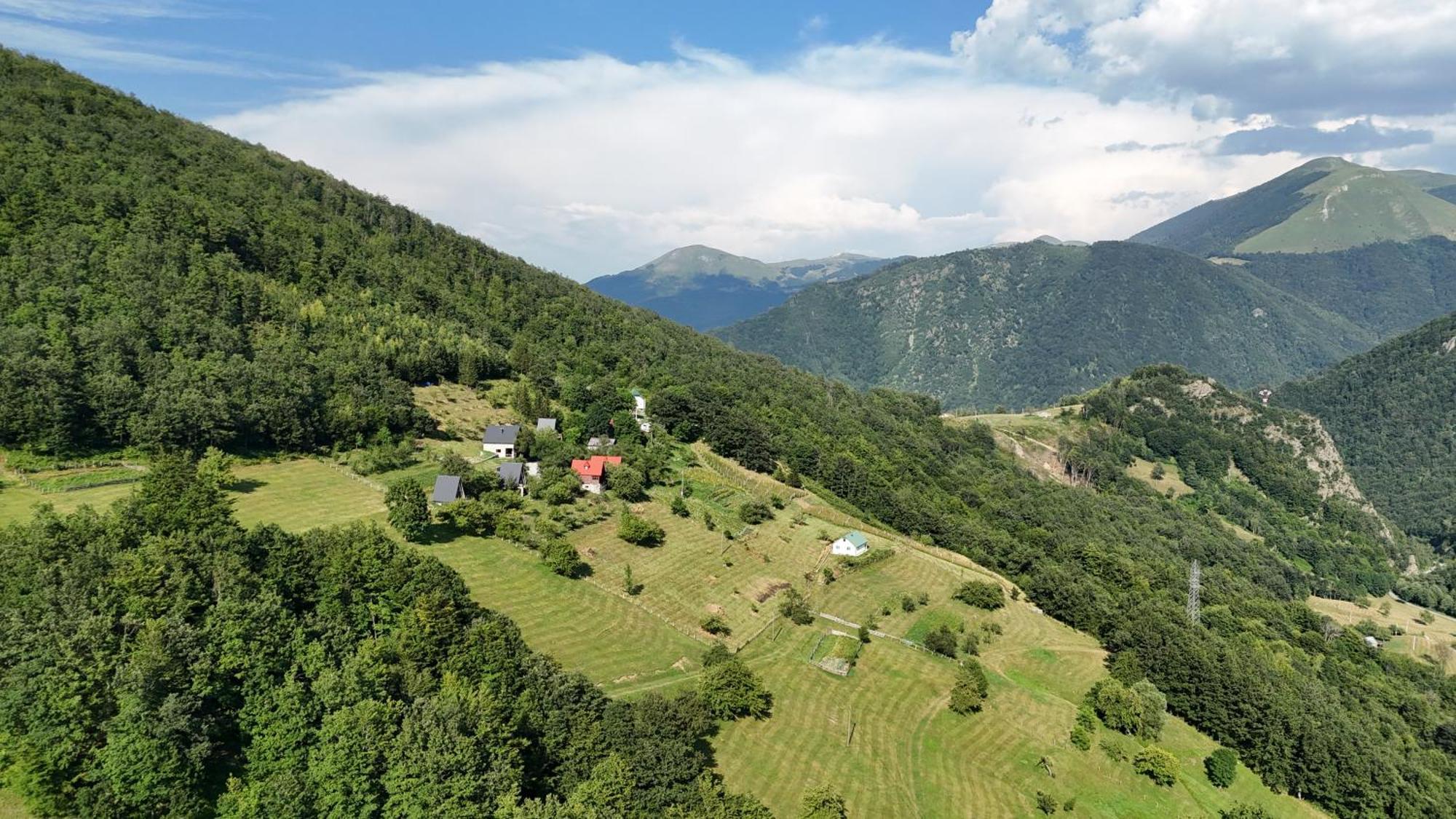 Fern Farm Tiny Home Mojkovac Bagian luar foto