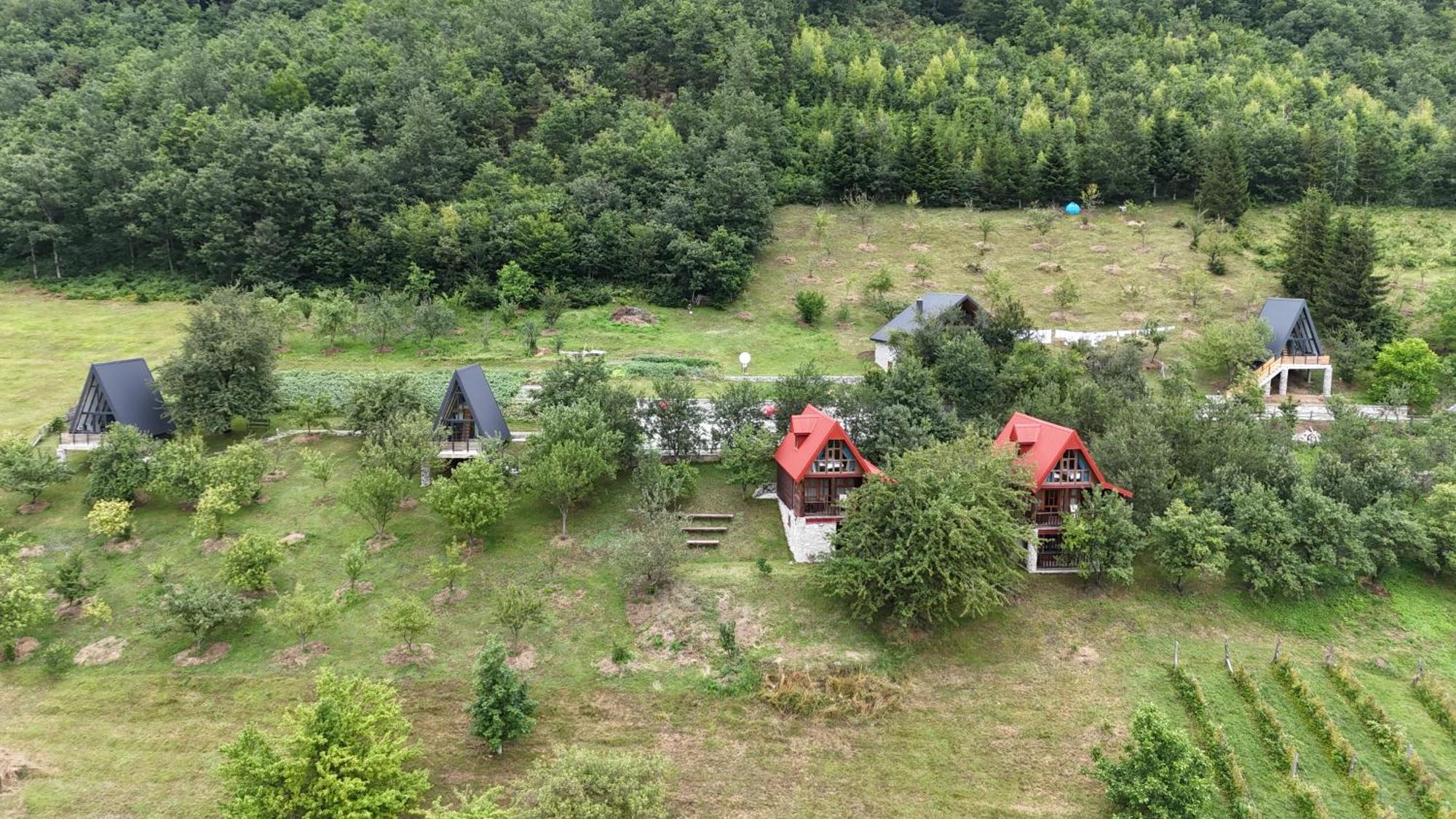 Fern Farm Tiny Home Mojkovac Bagian luar foto