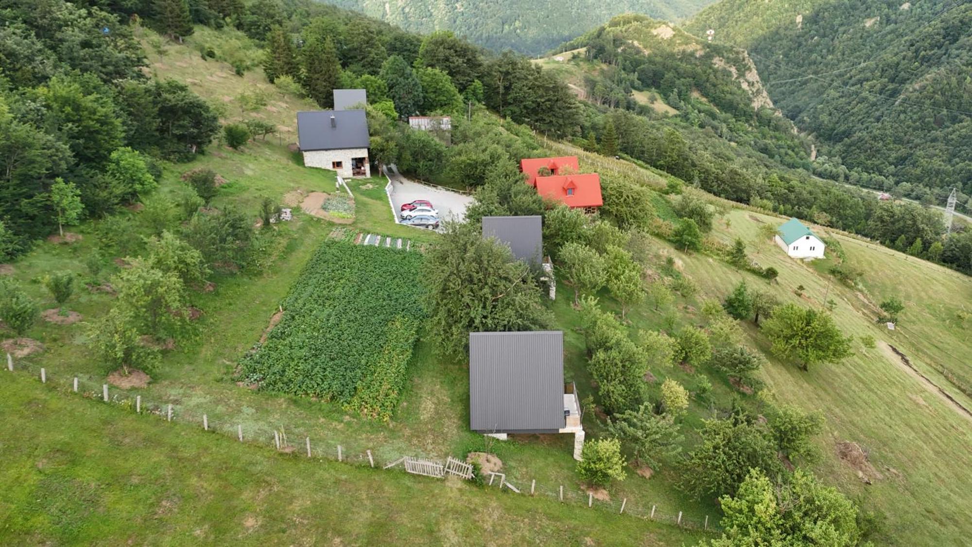 Fern Farm Tiny Home Mojkovac Bagian luar foto